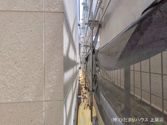 シート