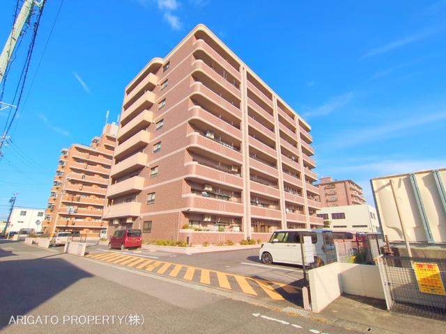 愛知県安城市東栄町６丁目のマンション『スペクトル東栄』外観写真 2025年10月28日撮影