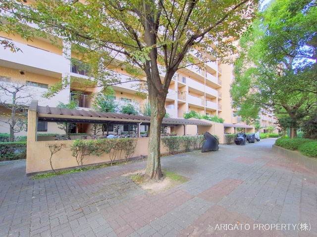 愛知県安城市今池町２丁目のマンション『コープ野村新安城E棟』外観写真 2025年10月29日撮影