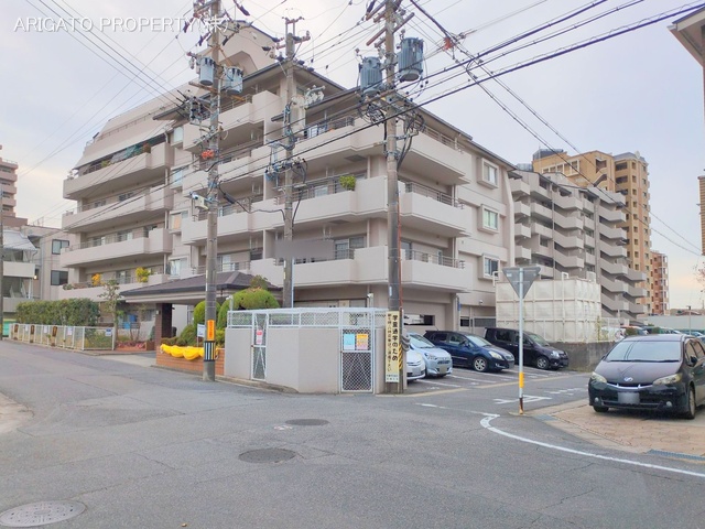 愛知県岡崎市柱曙1丁目のマンション『ユニオンハイツ岡崎』外観写真 2025年11月30日撮影