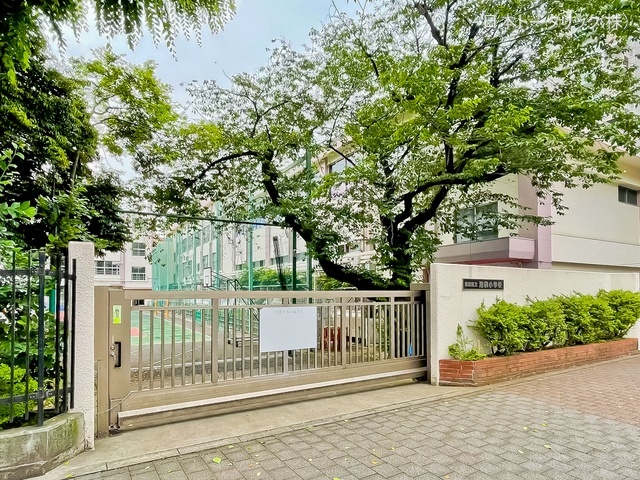 豊島区立池袋小学校 距離320m