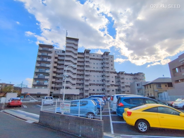 檀渓アイリス
