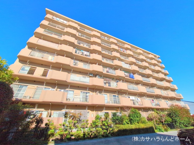 埼玉県川越市新宿町3丁目のマンション『川越新宿マンション』外観写真 2024年11月18日撮影