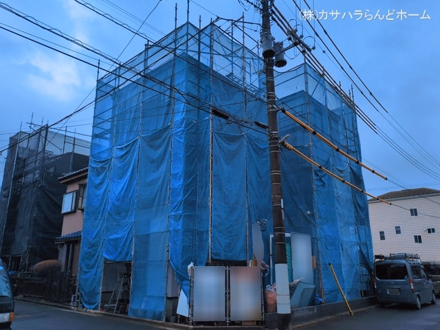シート