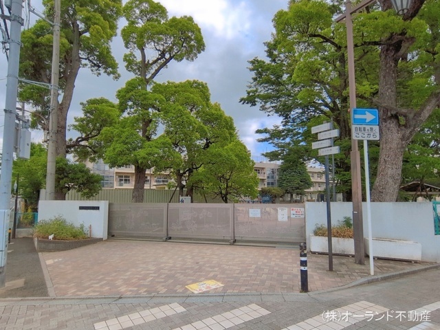 市川市立真間小学校 距離220m
