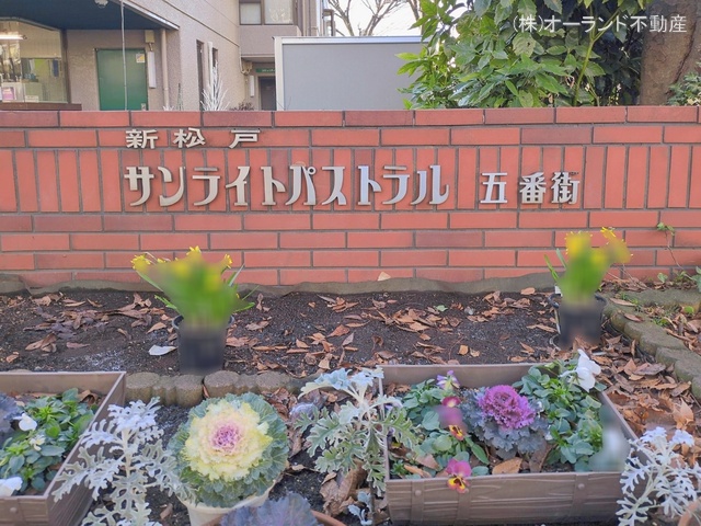 千葉県松戸市新松戸７丁目のマンション『サンライトパストラル五番街A棟』外観写真 2026年1月7日撮影