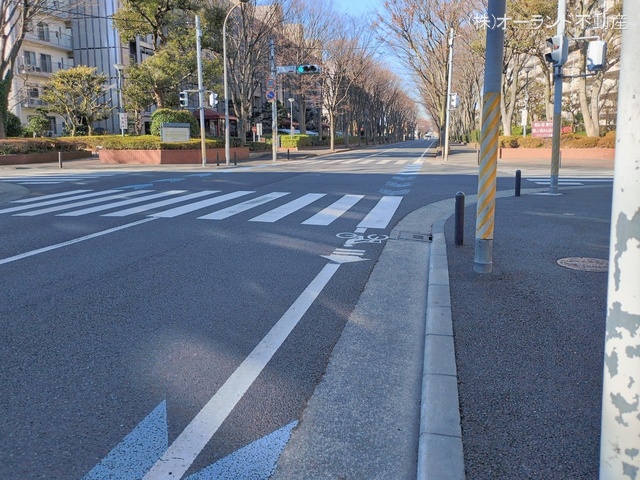 千葉県松戸市新松戸７丁目のマンション『サンライトパストラル五番街A棟』外観写真 2026年1月7日撮影
