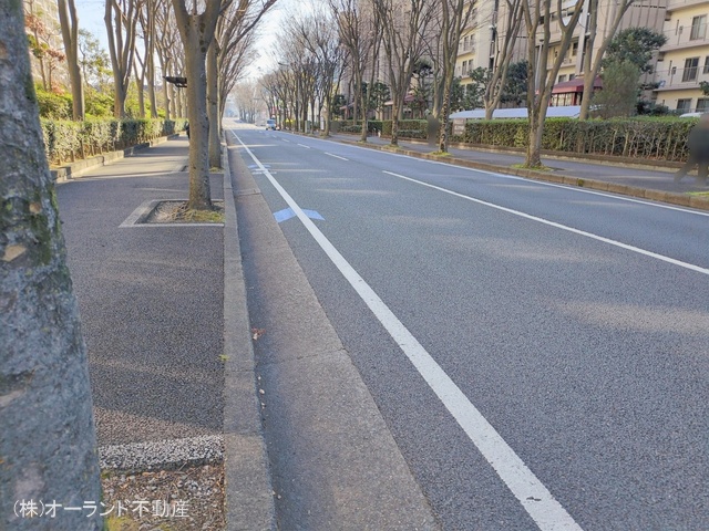 千葉県松戸市新松戸７丁目のマンション『サンライトパストラル五番街A棟』外観写真 2026年1月7日撮影