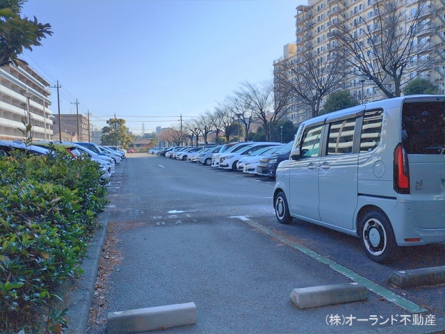 千葉県松戸市新松戸７丁目のマンション『サンライトパストラル五番街A棟』外観写真 2026年1月7日撮影