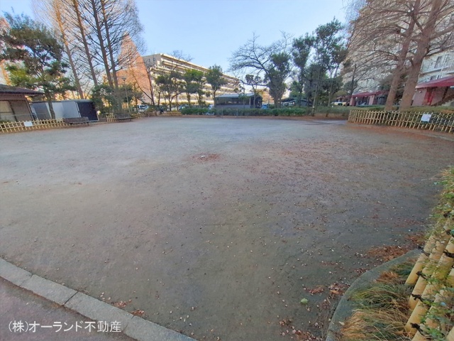 千葉県松戸市新松戸７丁目のマンション『サンライトパストラル五番街A棟』外観写真 2026年1月7日撮影