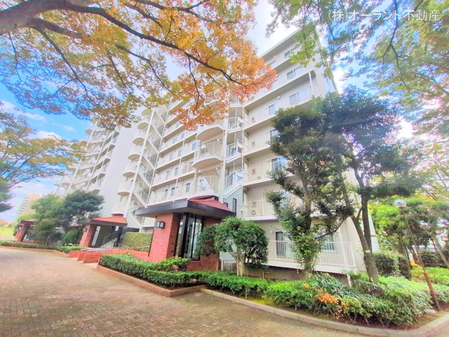 千葉県松戸市新松戸４丁目のマンション『サンライトパストラル六番街A棟』外観写真 2025年10月26日撮影