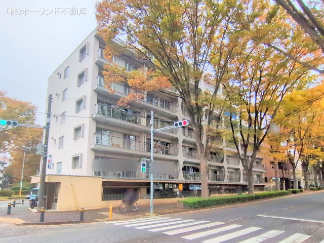 千葉県松戸市常盤平3丁目のマンション『ときわ平サニーハイツ』外観写真 2025年11月12日撮影