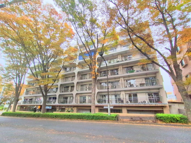 千葉県松戸市常盤平3丁目のマンション『ときわ平サニーハイツ』外観写真 2025年11月12日撮影