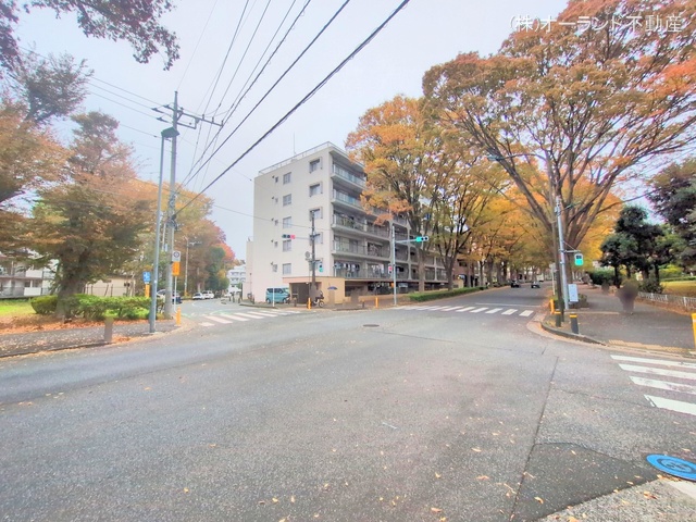 千葉県松戸市常盤平3丁目のマンション『ときわ平サニーハイツ』外観写真 2025年11月12日撮影