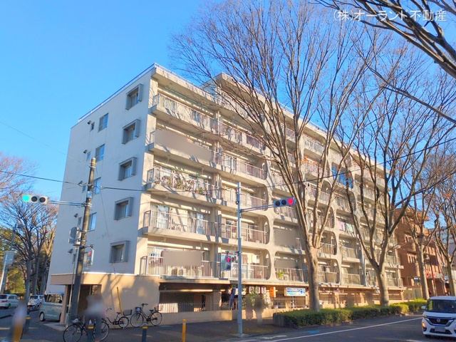 千葉県松戸市常盤平3丁目のマンション『ときわ平サニーハイツ』外観写真 2025年12月15日撮影