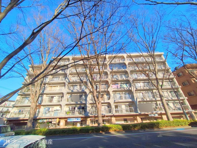 千葉県松戸市常盤平3丁目のマンション『ときわ平サニーハイツ』外観写真 2025年12月15日撮影