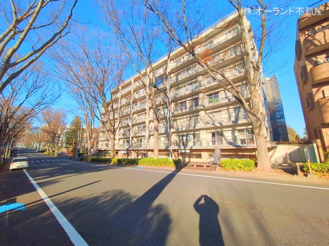 千葉県松戸市常盤平3丁目のマンション『ときわ平サニーハイツ』外観写真 2025年12月15日撮影