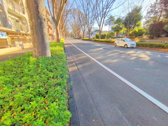 千葉県松戸市常盤平3丁目のマンション『ときわ平サニーハイツ』外観写真 2025年12月15日撮影