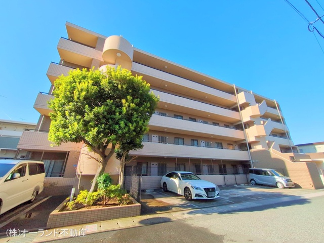 千葉県市川市新井３丁目のマンション『セレナハイム南行徳』外観写真 2025年11月16日撮影