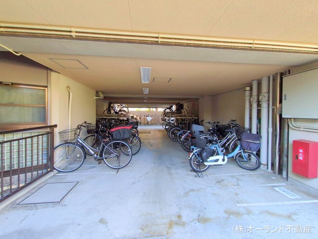 千葉県市川市新井３丁目のマンション『セレナハイム南行徳』外観写真 2025年11月16日撮影