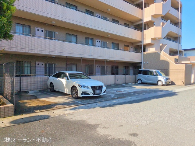 千葉県市川市新井３丁目のマンション『セレナハイム南行徳』外観写真 2025年11月16日撮影