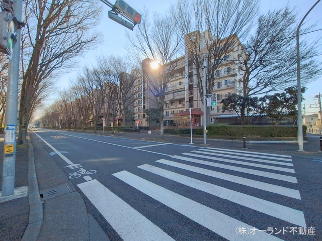 千葉県松戸市新松戸6丁目のマンション『サンライトパストラル弐番街C棟』外観写真 2026年1月7日撮影
