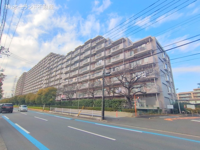 千葉県市川市福栄3丁目のマンション『ライオンズマンション南市川』外観写真 2025年12月22日撮影