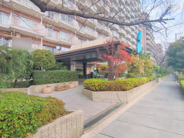 千葉県市川市福栄3丁目のマンション『ライオンズマンション南市川』外観写真 2025年12月22日撮影