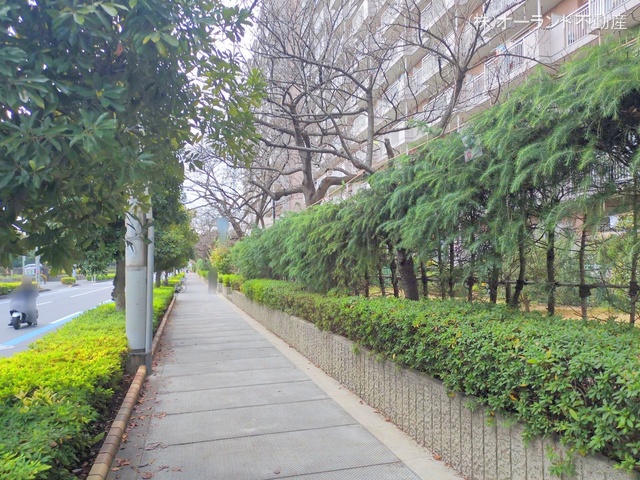 千葉県市川市福栄3丁目のマンション『ライオンズマンション南市川』外観写真 2025年12月22日撮影