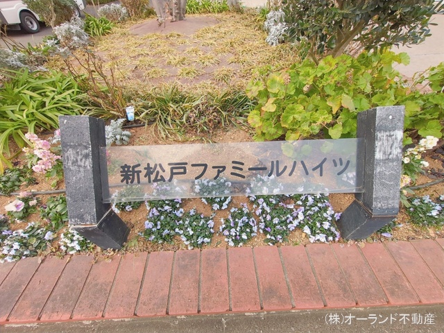 千葉県松戸市新松戸北２丁目のマンション『新松戸ファミールハイツ2号棟』外観写真 2026年1月27日撮影