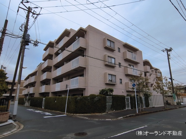 千葉県市川市福栄１丁目のマンション『ヒルズ行徳』外観写真 2026年3月18日撮影