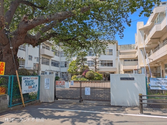 市川市立大柏小学校