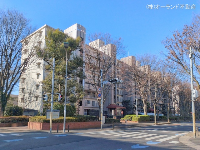 千葉県松戸市新松戸6丁目のマンション『サンライトパストラル弐番街C棟』外観写真 2026年1月7日撮影