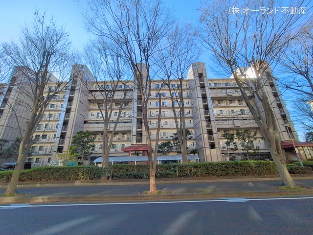 千葉県松戸市新松戸6丁目のマンション『サンライトパストラル弐番街C棟』外観写真 2026年1月7日撮影