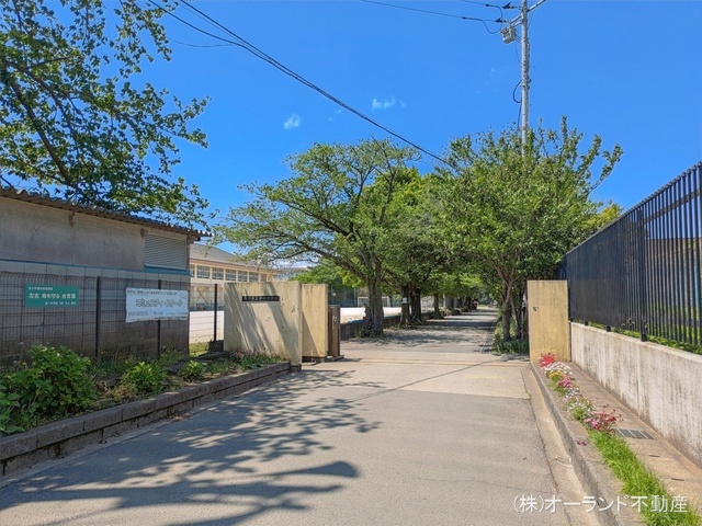 市川市立第一中学校　距離2080m