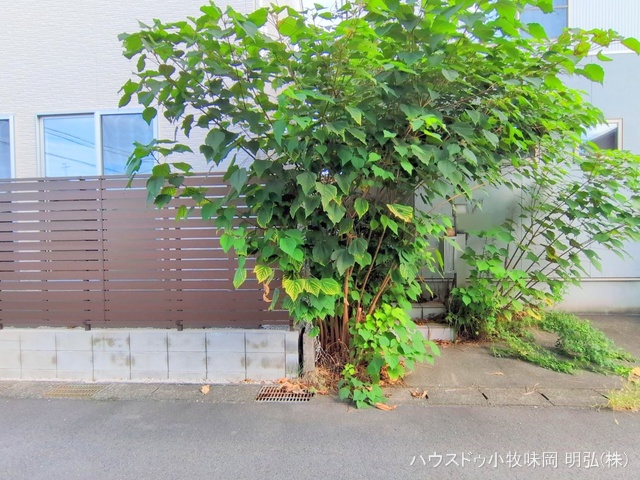 愛知県丹羽郡扶桑町大字高雄字南東川の新築戸建て完成写真 2025年9月28日撮影