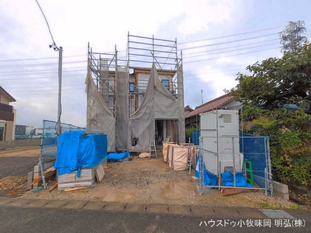 シート