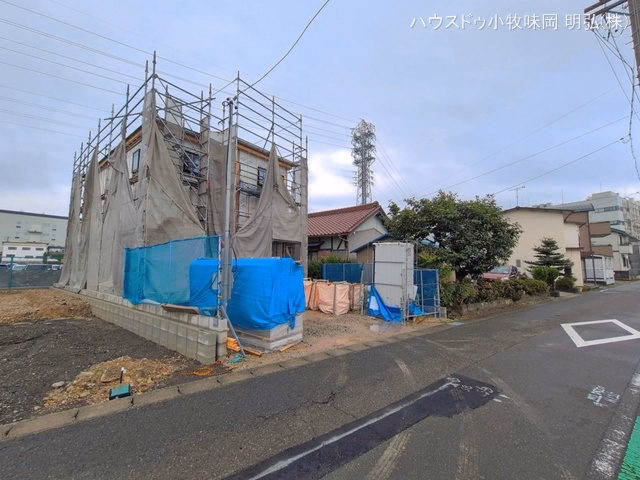 シート